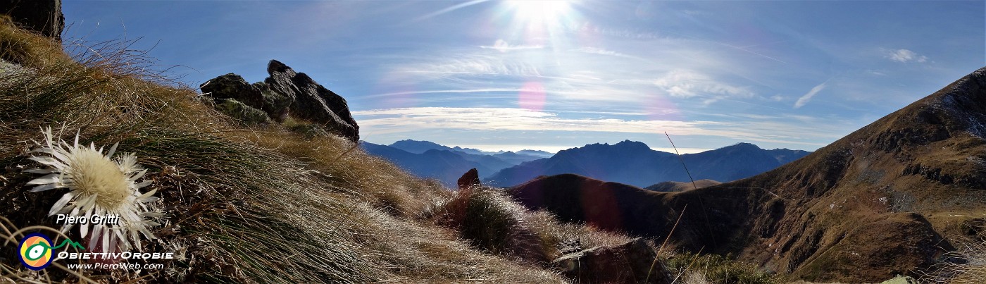 30 Carlina con vista in Val Serrada e Il Collino .jpg